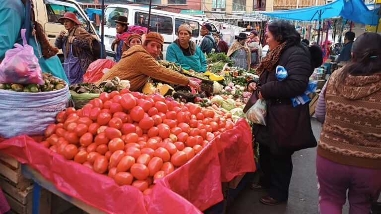 u-un-puesto-de-tomate-en-la-zona-garita-de-lima-foto_1715952995