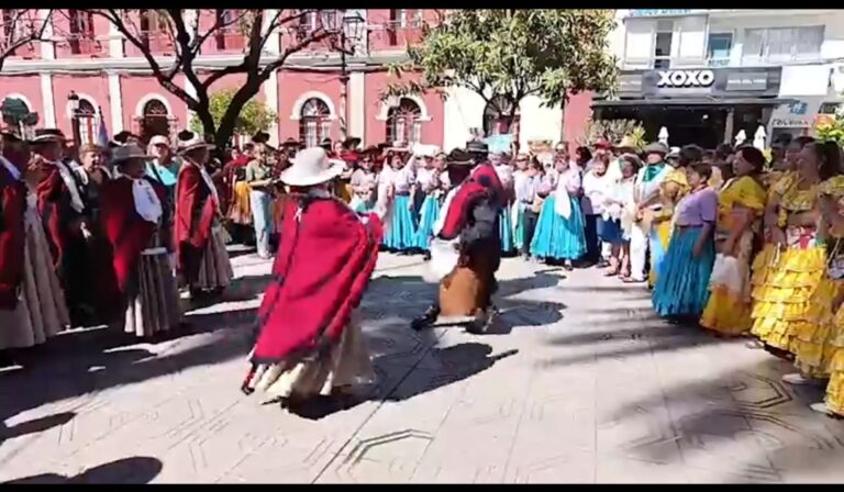 Screenshot_20260828_210947_com_hihonor_hnvideoplayer_MainActivity_edit_1193327121948999