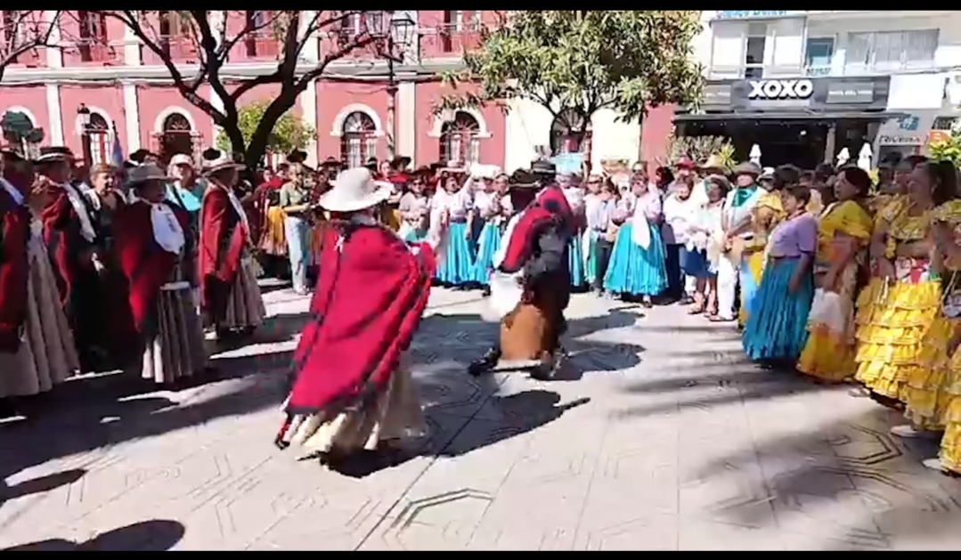 Screenshot_20260828_210947_com_hihonor_hnvideoplayer_MainActivity_edit_1193327121948999